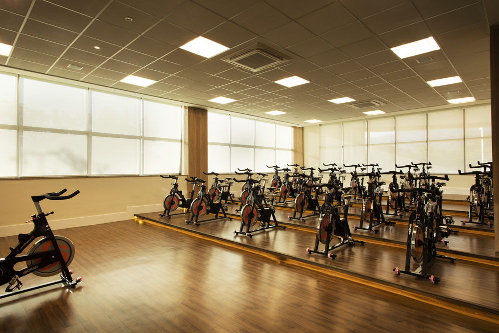 Lead Americas Business - Triumph -- Fitness