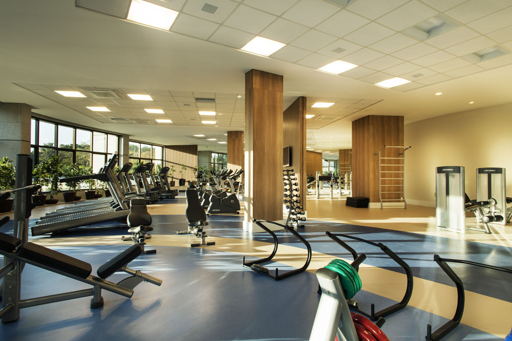 Lead Americas Business - Triumph -- Fitness