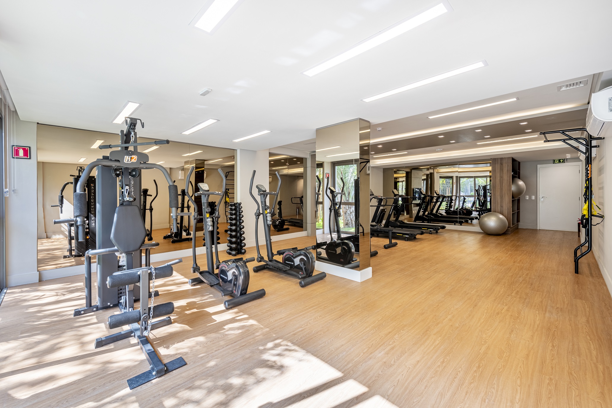 Prime Wallig -- Fitness