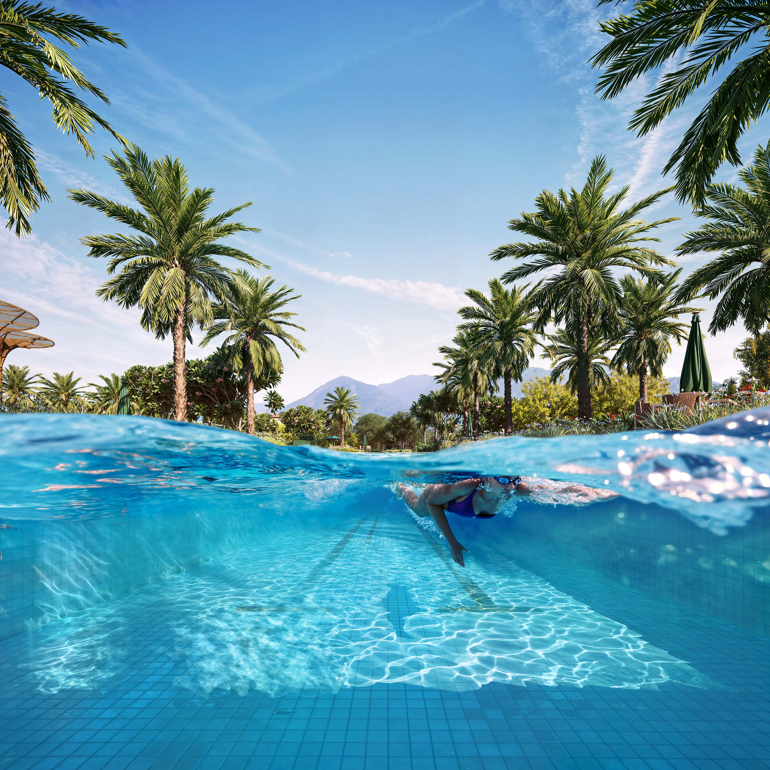 OX Park Design by Edsa -- Ilustração Artística - Detalhe Da Piscina De Raia De 50m