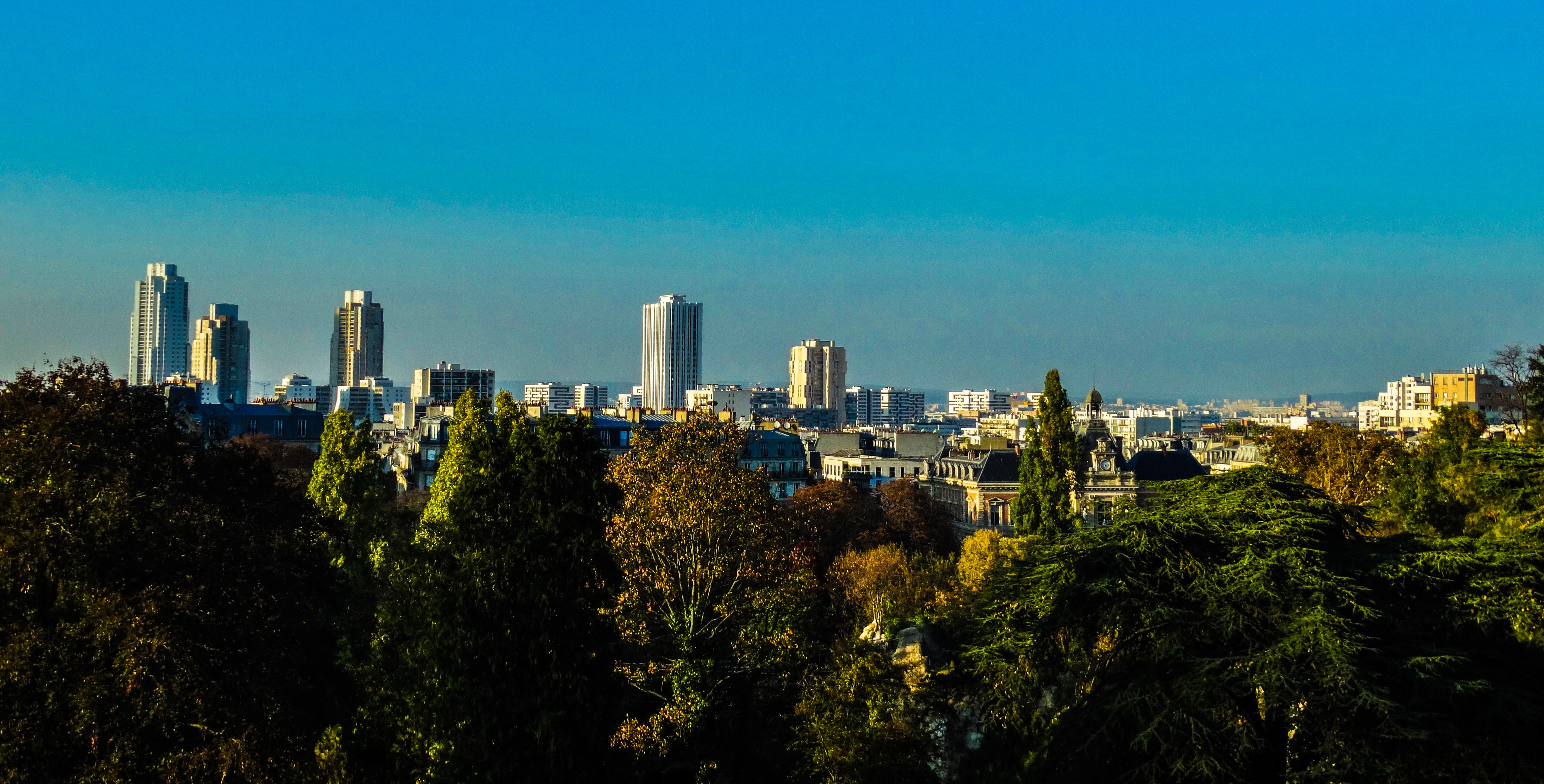 Uma paisagem urbana com árvores frondosas em primeiro plano e edifícios altos e baixos ao fundo, sob um céu azul claro. A luz do sol ilumina os topos dos prédios e as folhagens.
