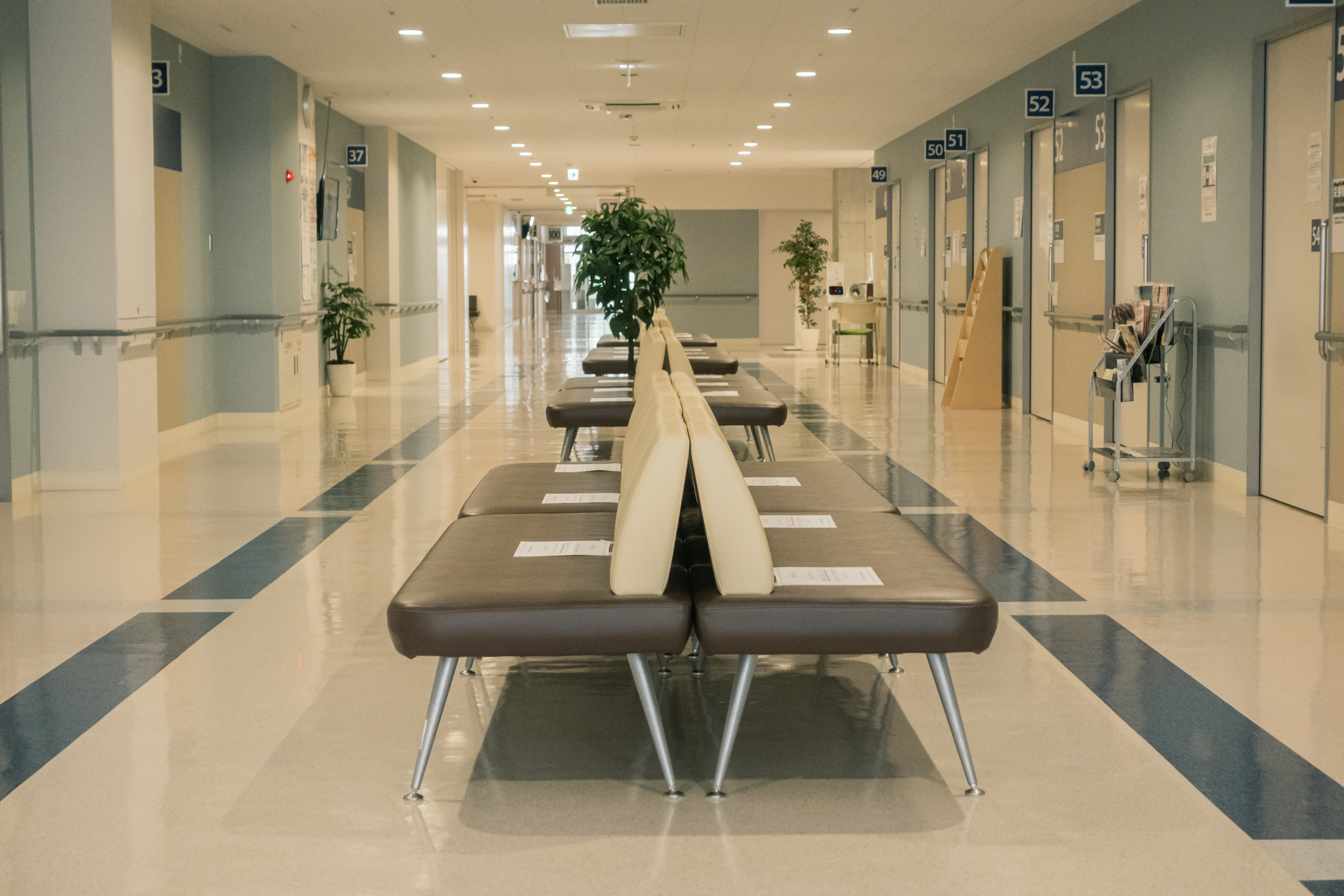 Um corredor de hospital moderno e bem iluminado, com fileiras de bancos de espera marrons e bege, plantas em vasos e portas numeradas ao longo das paredes.