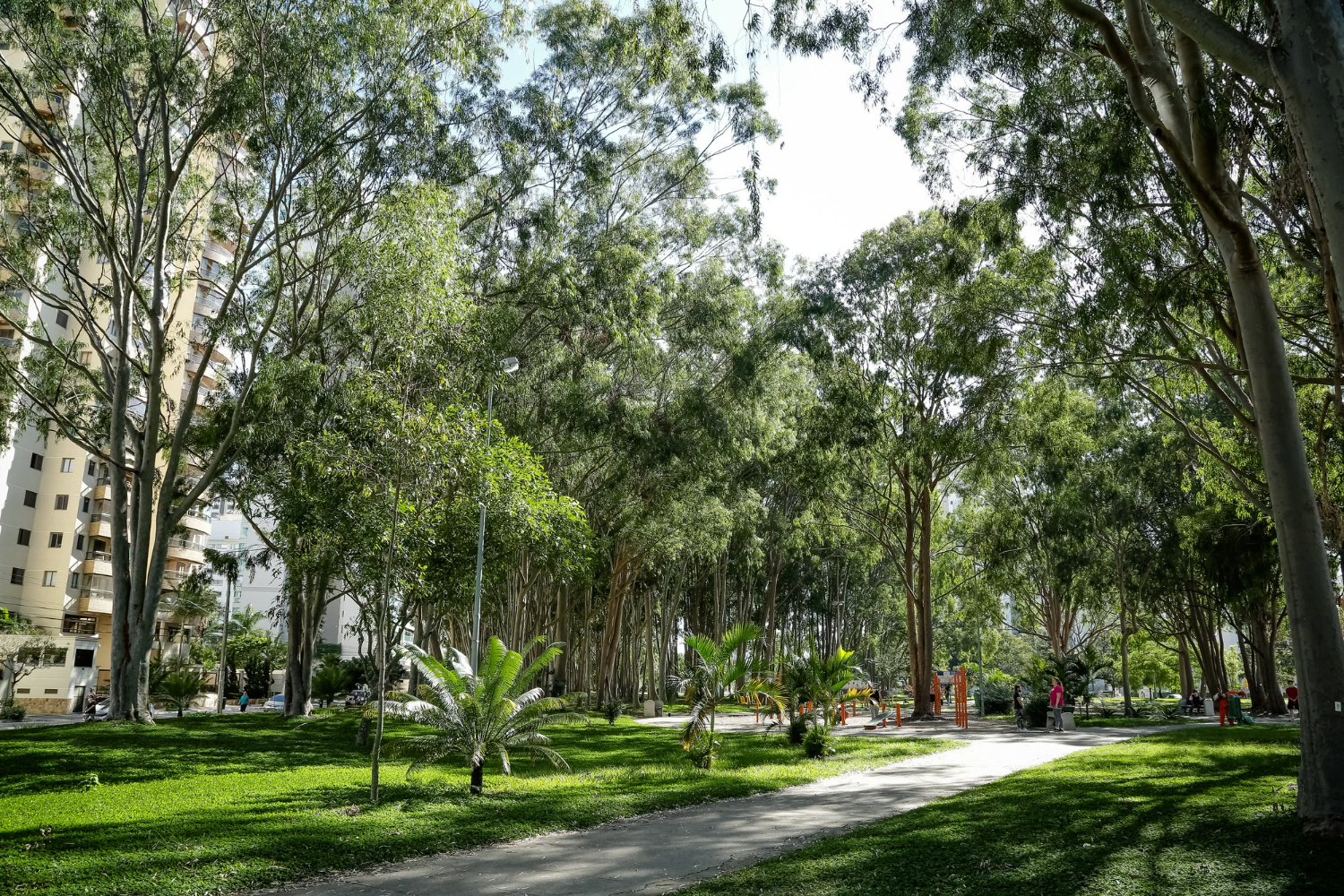 Um parque verde com um caminho pavimentado que serpenteia entre árvores altas e gramados bem cuidados. Pessoas e prédios residenciais são visíveis ao fundo, criando um cenário de lazer urbano.