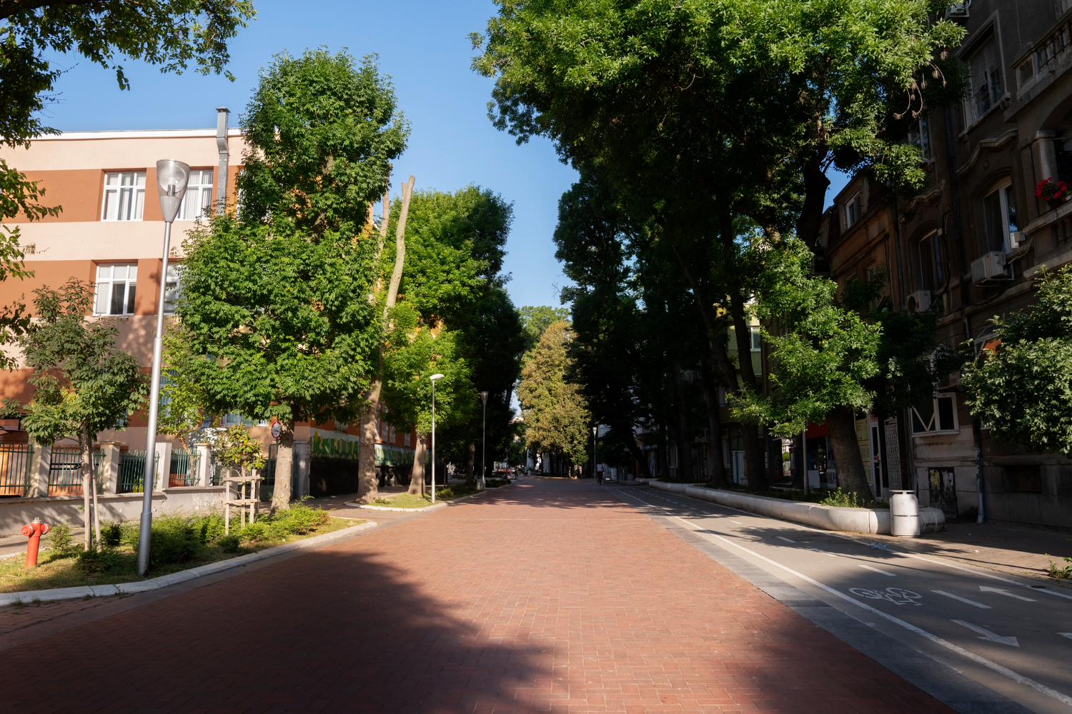 Uma rua urbana arborizada com um caminho de tijolos e uma ciclovia, ladeada por edifícios e árvores verdes exuberantes, sob um céu azul claro.