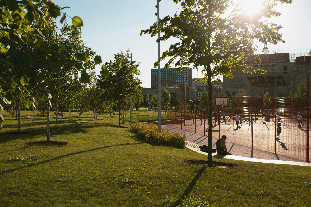 Um parque ensolarado com gramado verde e árvores, com uma quadra esportiva ao ar livre onde pessoas praticam exercícios, e edifícios urbanos ao fundo.
