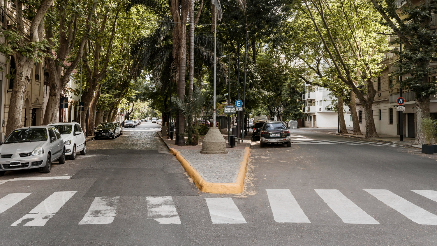 Uma rua urbana arborizada com uma faixa de pedestres em primeiro plano, carros estacionados nas laterais e edifícios visíveis por entre as árvores frondosas.