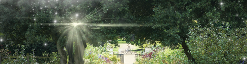 Conheça mais sobre o Le Jardin by YOO