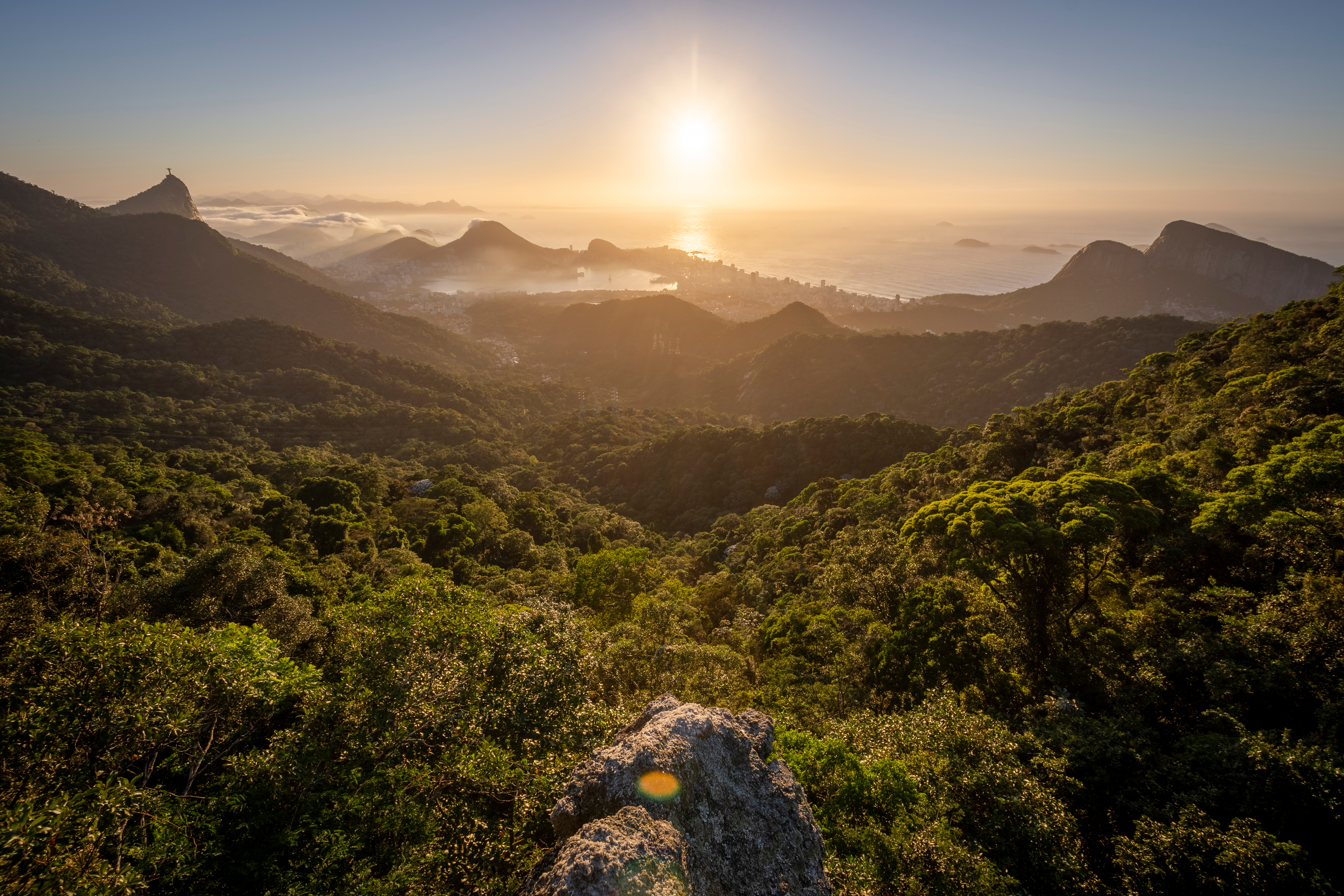 Floresta da Tijuca