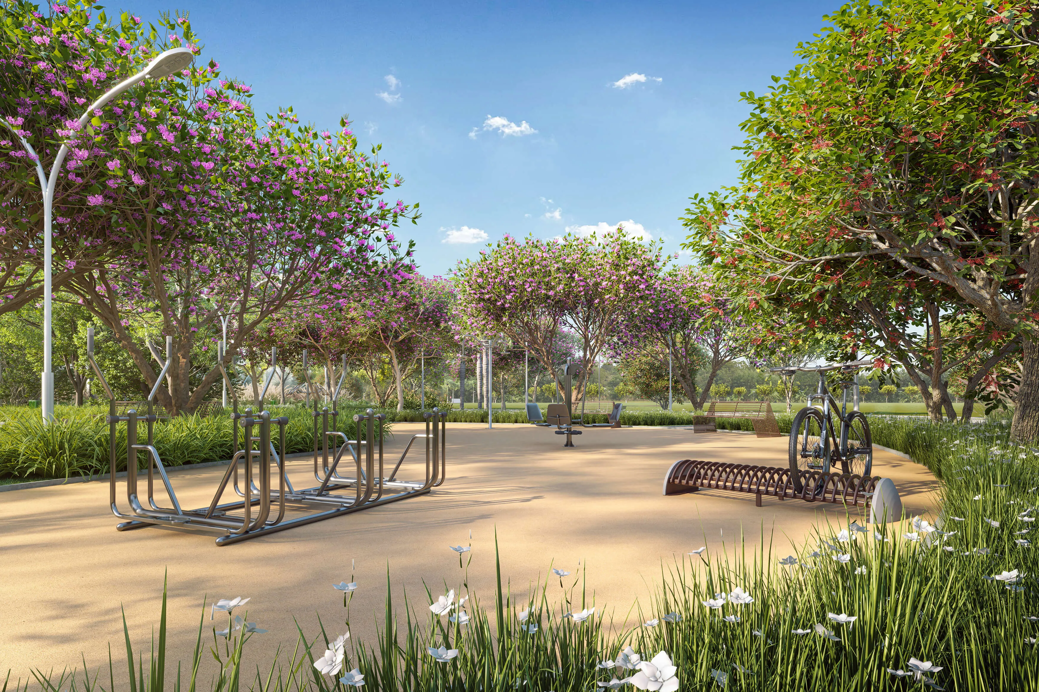 Ilustração Artística - Academia